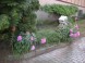Apartmány Haus Jeremias Therme 39