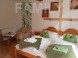 Apartmány Kaktusz Villa  15
