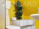 Apartmány Kaktusz Villa  25