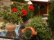 La Villa Pergola 21