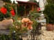 La Villa Pergola 22