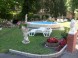 Penzión Balaton***, Siófok 8