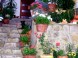 Apartmány Villa Panoráma 16