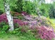 Arborétum, Budafa 3