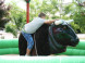 Dino park a Zábavný park Rezi 7
