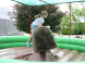 Dino park a Zábavný park Rezi 10