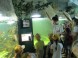 Tropicarium Budapest - Oceanárium 4