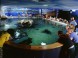 Tropicarium Budapest - Oceanárium 11