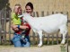 Veszprém ZOO Kálmána Kittenbergera 4