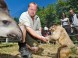 Veszprém ZOO Kálmána Kittenbergera 9