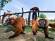Veszprém ZOO Kálmána Kittenbergera 10