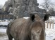ZOO Budapest 15