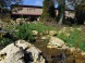 ZOO Budapest 17