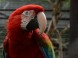 ZOO Debrecen - Zoologická a botanická záhrada 9