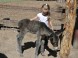 ZOO Debrecen - Zoologická a botanická záhrada 12