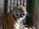 ZOO Debrecen - Zoologická a botanická záhrada 14