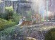 ZOO Debrecen - Zoologická a botanická záhrada 15