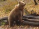 ZOO Miskolc - Zoologická záhrada a park kultúry 13