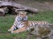 ZOO Debrecen - Zoologická a botanická záhrada 3