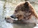 Zoologická a botanická záhrada - Jászberény 3