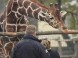 Zoologická záhrada Xantus János - Győr 5