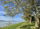 Balatonboglár - Plážové kúpalisko Jankovich-telepi strand 10