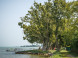 Balatonboglár - Plážové kúpalisko Jankovich-telepi strand 11