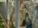 Jaskynné a liečebné kúpele Miskolctapolca 18