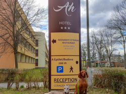 Osvieženie v Bükfürdő 2026 - AKCIA 33
