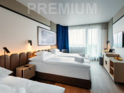 Vianoce Hunguest Bük 29
