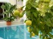 Wellness Hotel Kakadu 16