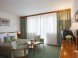 Hotel PALACE HÉVÍZ 9